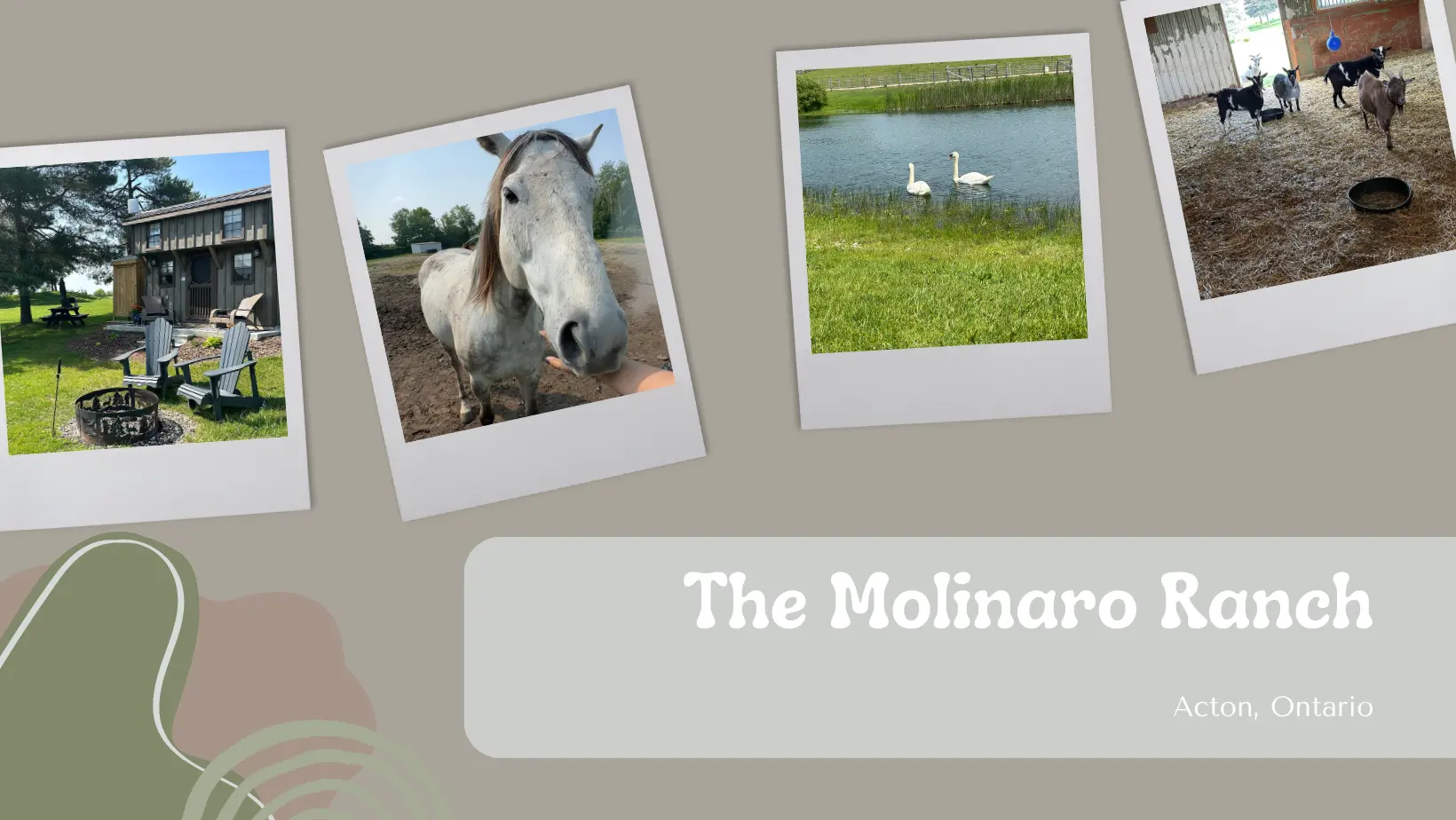 The Molinaro Ranch, Acton, ON